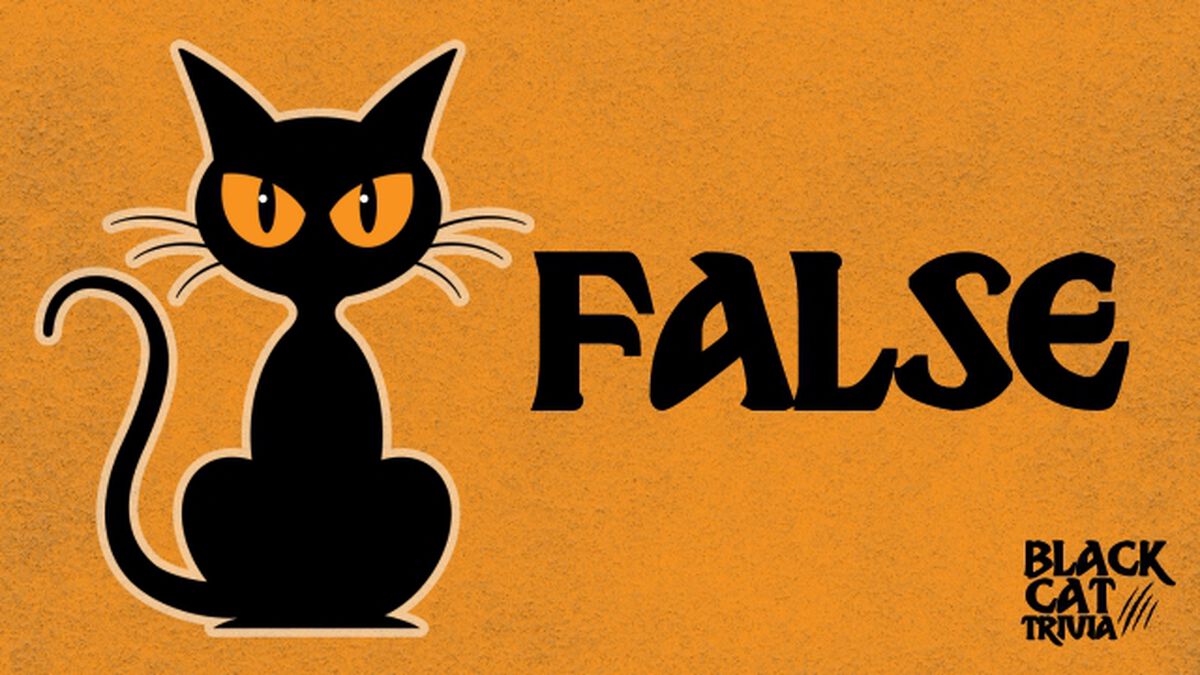 Black Cat Trivia image number null